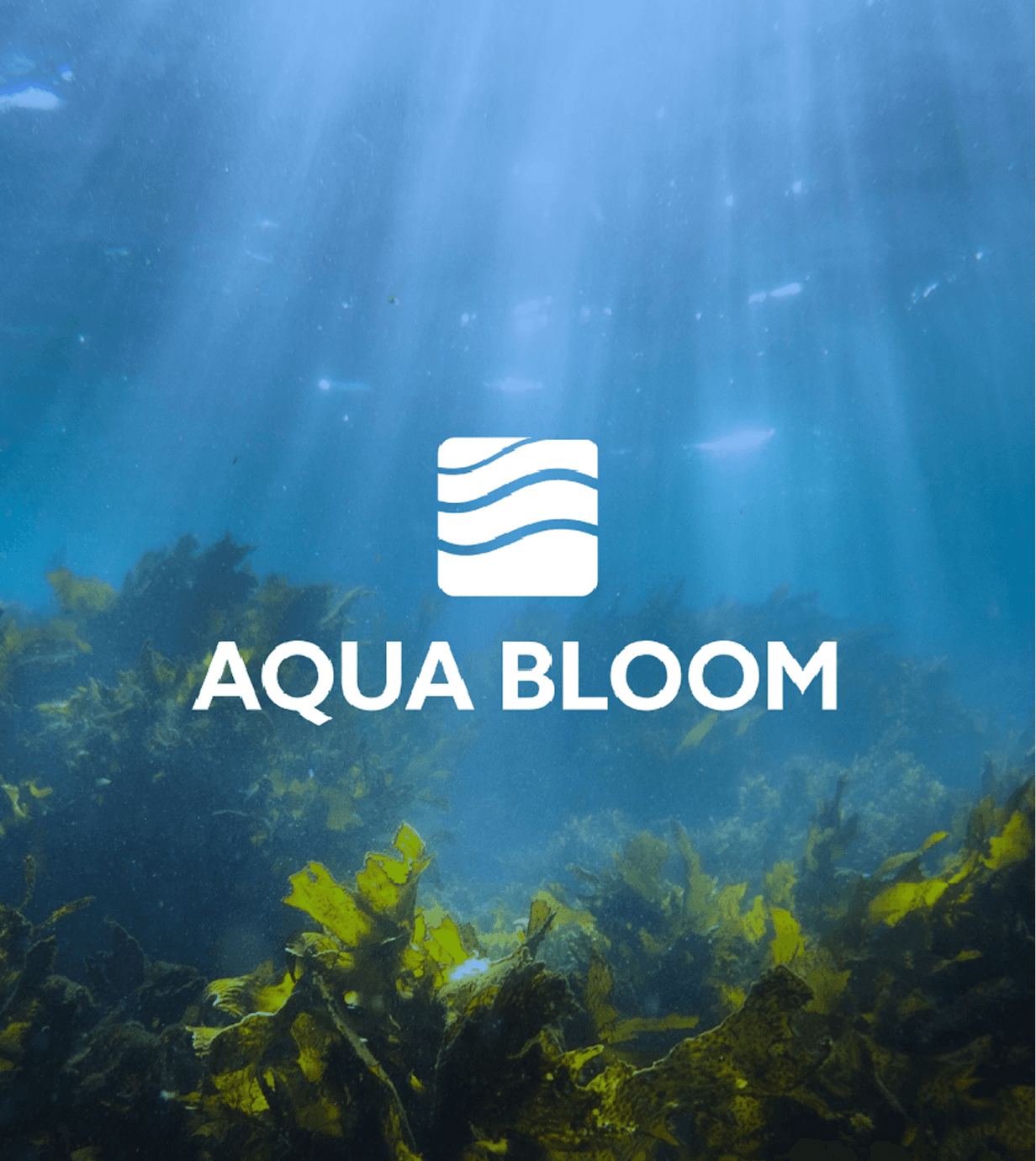 Aquabloom visual 1-2