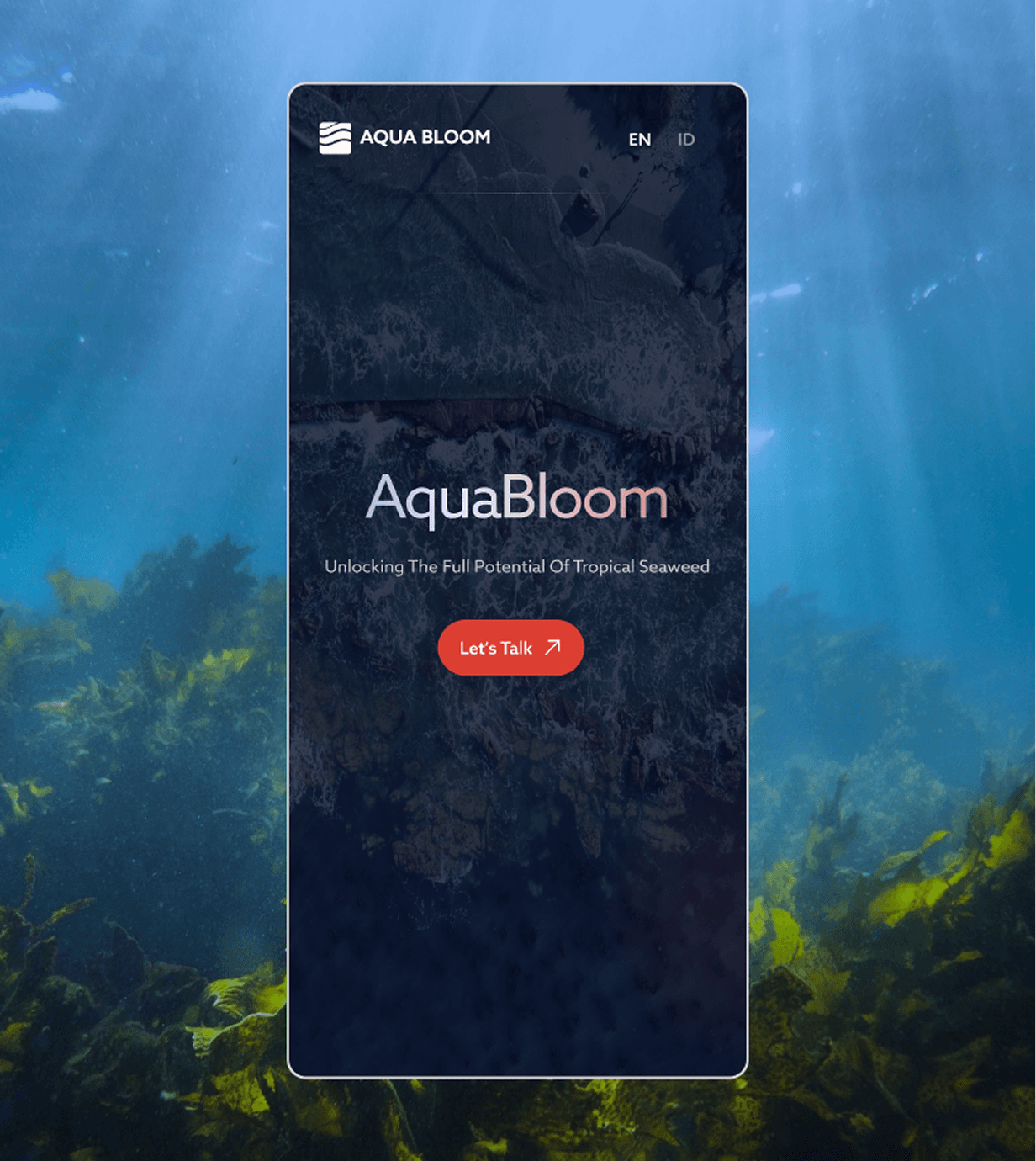 Aquabloom visual 3-2